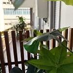 Pensión Sogni In 3*